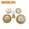 WOKIN 5 pcs wire brushes set